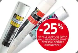 BricoPlanit Op alle glasvlies (quick wall inbegrepen) en het overschilderbare behangpapier aanbieding