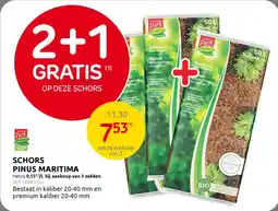 BricoPlanit Schors pinus maritima aanbieding