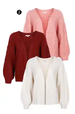 Trafic Vest Dames aanbieding
