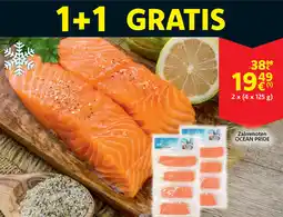Cora Ocean pride zalmmoten aanbieding