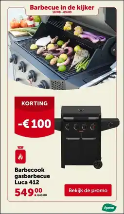 AVEVE Barbecook gasbarbecue Luca 412 aanbieding
