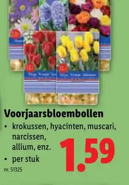 Lidl Voorjaarsbloembollen aanbieding