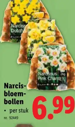 Lidl Narcis- bloem- bollen aanbieding
