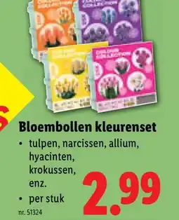 Lidl Bloembollen kleurenset aanbieding