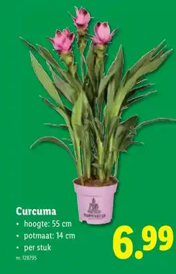 Lidl Curcuma aanbieding