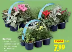Lidl Herfstmix aanbieding