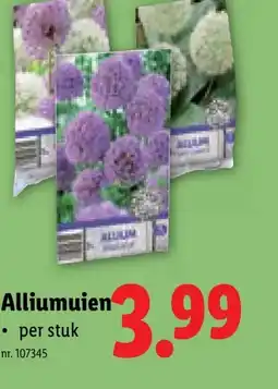 Lidl Alliumuien aanbieding