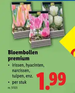 Lidl Bloembollen premium aanbieding