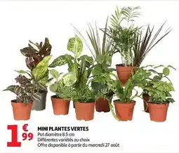 Auchan Mini plantes vertes aanbieding