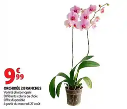 Auchan Orchidée 2 branches aanbieding