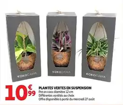 Auchan Plantes vertes en suspension aanbieding