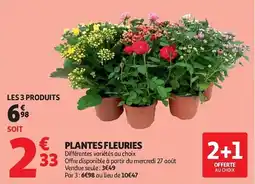 Auchan Plantes fleuries aanbieding