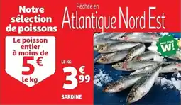 Auchan Sardine aanbieding
