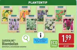 ALDI GARDENLINE Bloembollen aanbieding