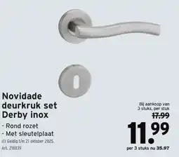 GAMMA Novidade deurkruk set Derby inox aanbieding