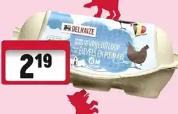 Delhaize Eieren van hennen met vrije uitloop aanbieding