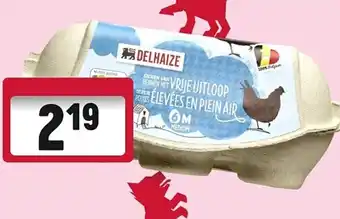 Delhaize Eieren van hennen met vrije uitloop aanbieding