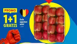 Lidl Gala appelen mini aanbieding