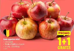 Lidl Gala appelen mini aanbieding