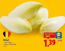 Lidl Witloof aanbieding