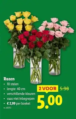 Lidl Rozen aanbieding