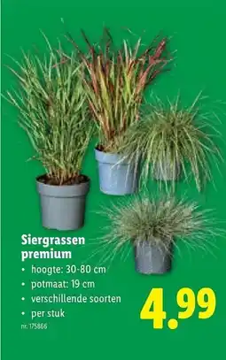 Lidl Siergrassen premium aanbieding