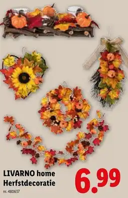 Lidl LIVARNO home Herfstdecoratie aanbieding