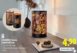 Lidl LIVARNO home Ledwindlicht aanbieding
