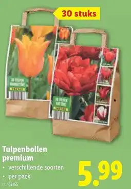 Lidl Tulpenbollen premium aanbieding