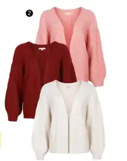 Trafic Vest dames aanbieding