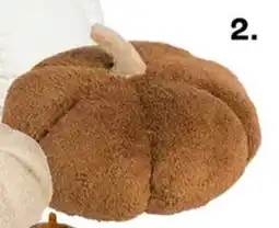 Kwantum Kussen pompoen teddy aanbieding
