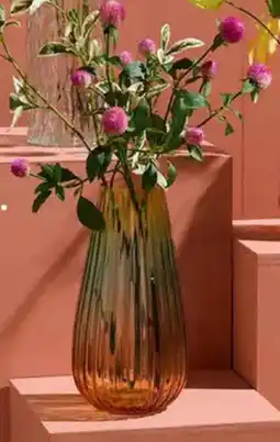 Kwantum Gomphrena Paars aanbieding
