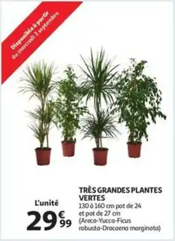 Auchan Très grandes plantes vertes aanbieding