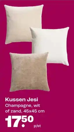 Kwantum Kussen Jesi aanbieding