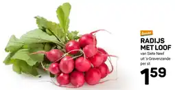 Ekoplaza Radijs met Loof aanbieding