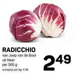 Ekoplaza Radicchio aanbieding