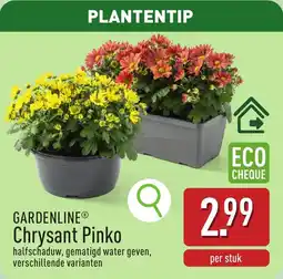 ALDI Gardenline Chrysant Pinko aanbieding