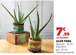 Super U La Plante Aloe Vera aanbieding