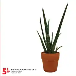 Auchan Aloe vera cache pot terra cotta aanbieding