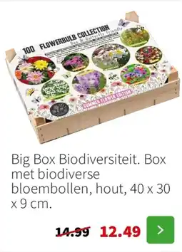 Intratuin Big Box Biodiversiteit aanbieding