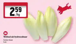 Delhaize Witloof Uit Hydrocultuur aanbieding