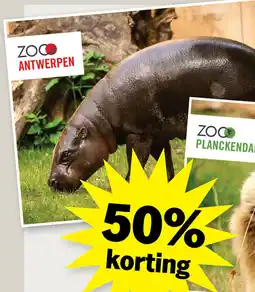 Albert Heijn ZOO Antwerpen aanbieding