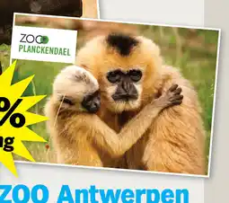 Albert Heijn ZOO Planckendael aanbieding