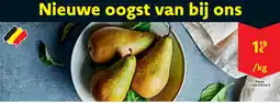 Cora Peren conférence aanbieding