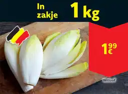 Cora Witloof aanbieding