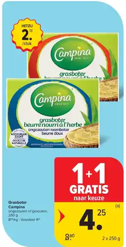 Carrefour Grasboter Campina aanbieding