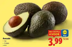 Lidl Avocado aanbieding