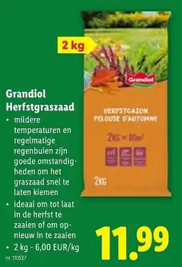 Lidl Grandiol Herfstgraszaad aanbieding
