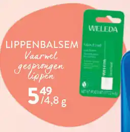 Di Lippenbalsem aanbieding
