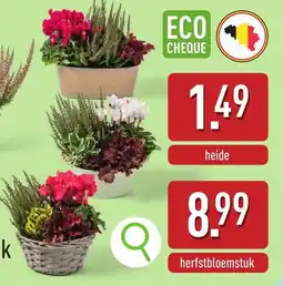 ALDI Herfstbloemstuk aanbieding